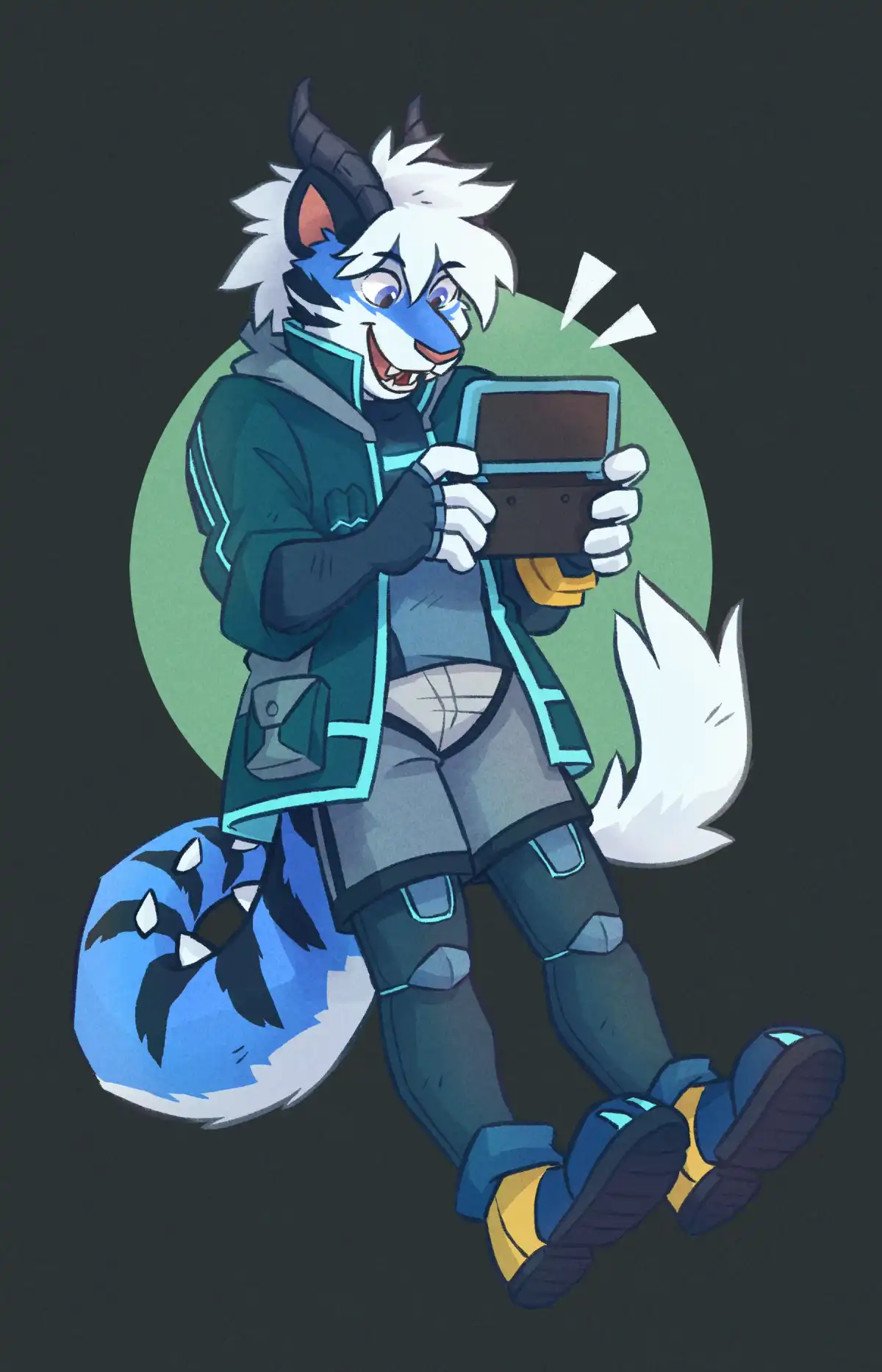 3DS Commission