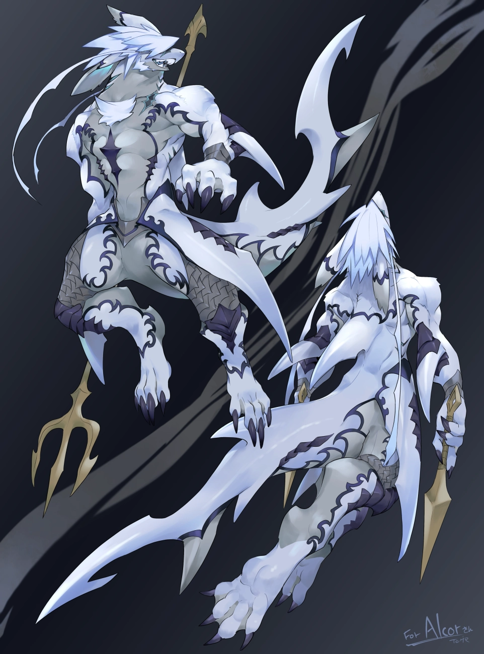 Aquarius Form β