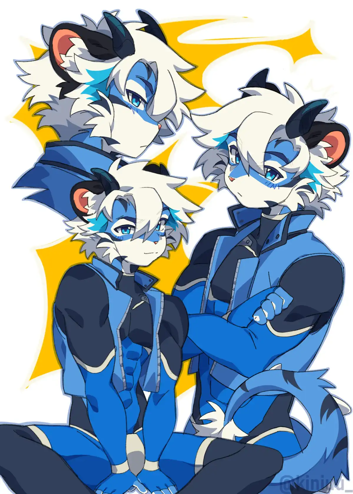 Hosh-i Collage Page